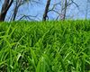Terreno agricolo in vendita