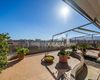 Terrazza