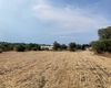 Terreno agricolo in vendita