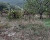 Terreno agricolo in vendita