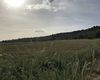 Terreno agricolo in vendita