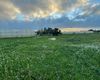Terreno agricolo in vendita