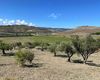 Terreno agricolo in vendita