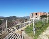 Casa indipendente in vendita