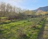 Terreno agricolo in vendita