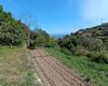 Terreno agricolo in vendita