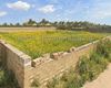 Terreno agricolo in vendita