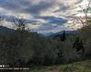 Terreno agricolo in vendita