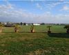 Terreno agricolo in vendita