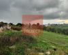 Terreno agricolo in vendita