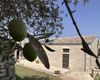 Casa indipendente in vendita