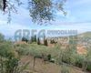 Terreno agricolo in vendita