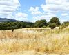 Terreno agricolo in vendita