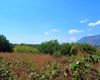Terreno agricolo in vendita