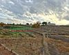 Terreno agricolo in vendita