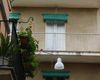 Casa indipendente in vendita