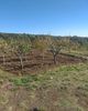 Terreno agricolo in vendita