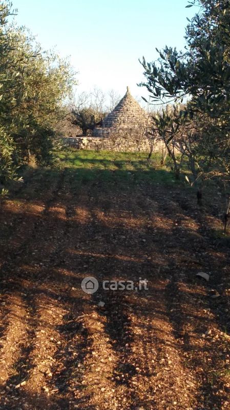Terreno agricolo in Vendita in Contrada Macchia Caruso a Sammichele di Bari