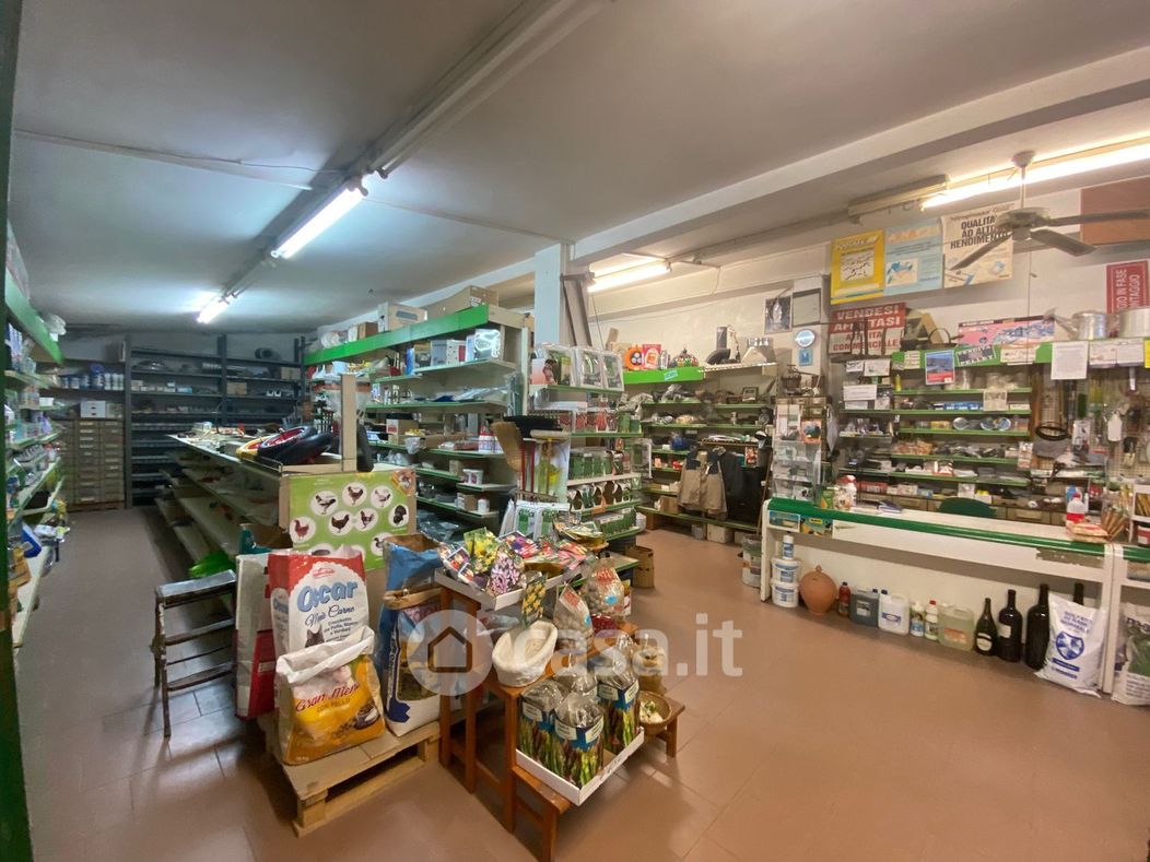Negozio/Locale commerciale in Affitto in Via Sant Apollaria a Zagarolo