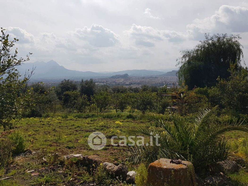 Terreno agricolo in Vendita in Via Sant'Isìdoro Monte a Bagheria