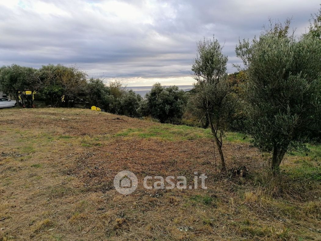 Terreno agricolo in Vendita in Via degli Ulivi a Savona