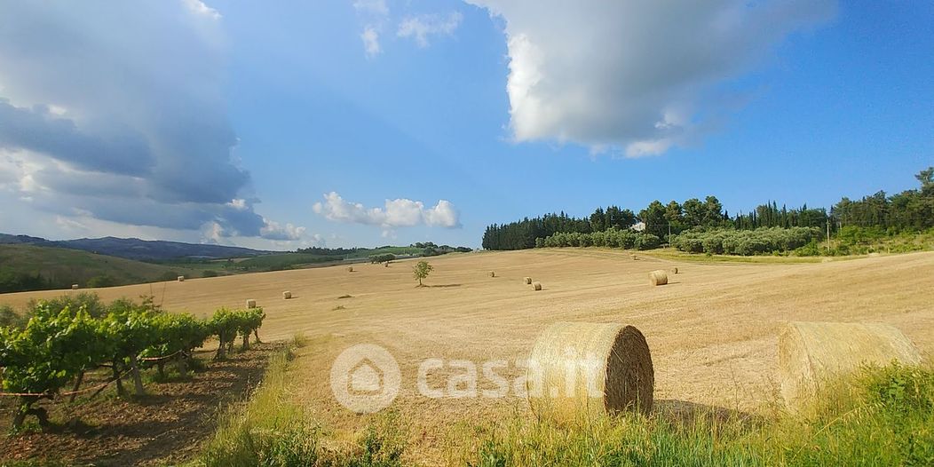 Terreno agricolo in Vendita in Collecchio a Castel di Lama