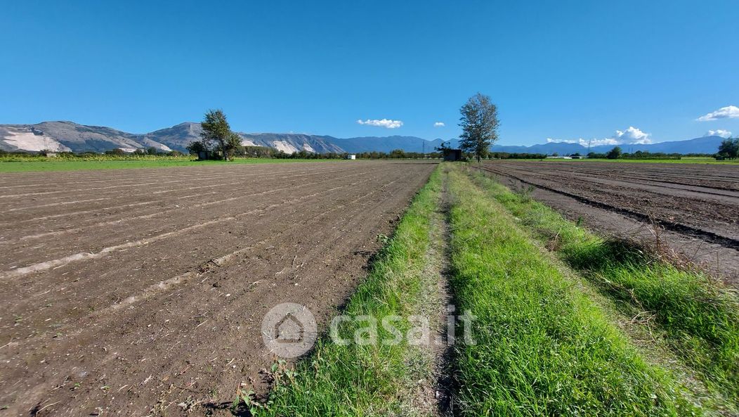 Terreno agricolo in Vendita in Via Rapillo a Marigliano