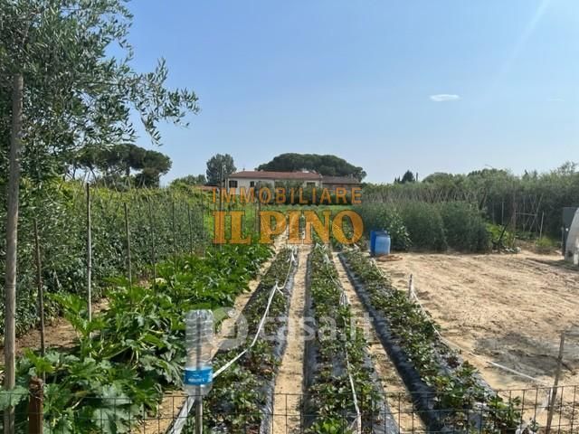Terreno agricolo in Vendita in Via Maggiore di Oratoio a Pisa
