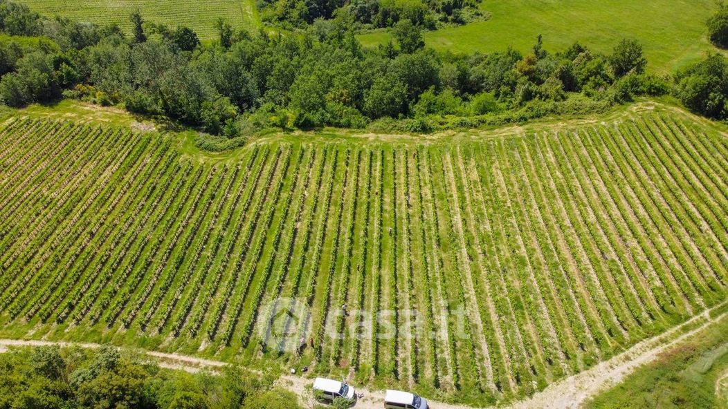 Terreno agricolo in Vendita in Località Casella a Lucignano