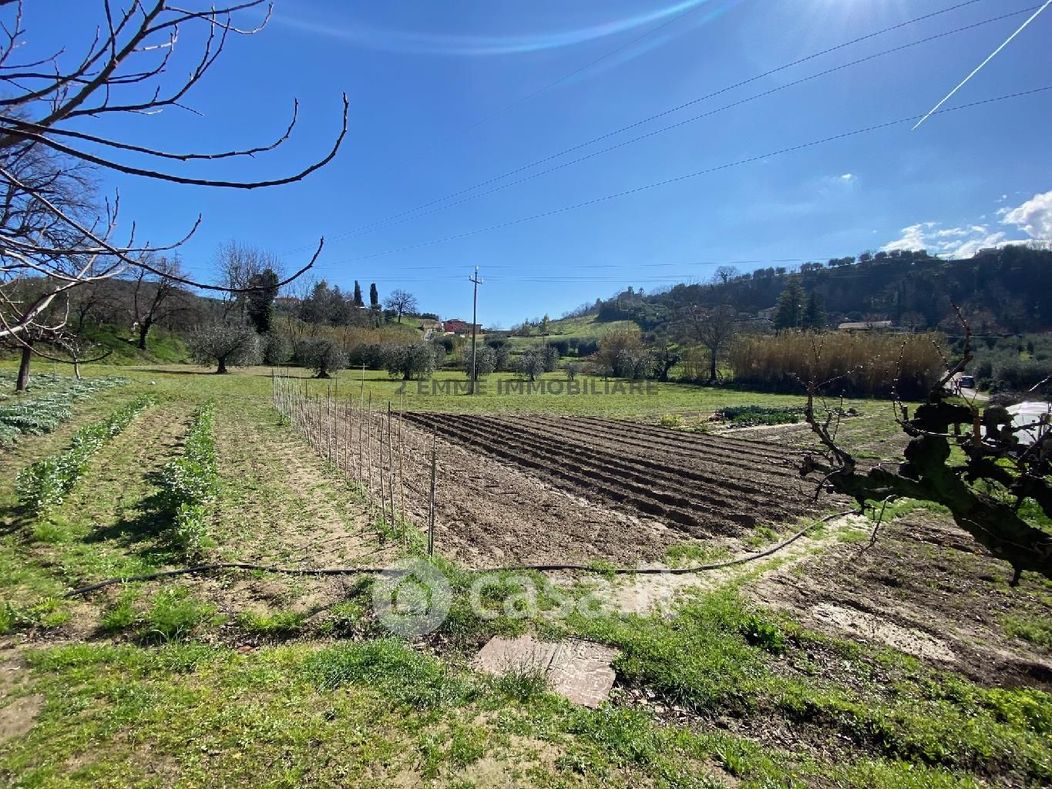 Terreno agricolo in Vendita in Via Fonte di Campo a Ascoli Piceno