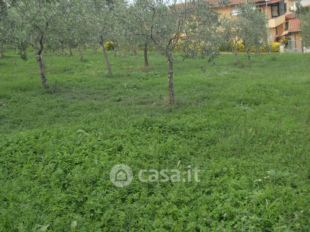 Terreno edificabile in Vendita in a Crespina Lorenzana