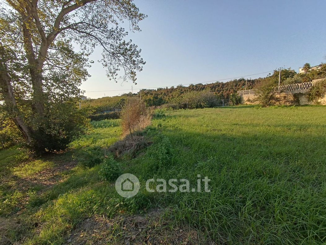 Terreno agricolo in Vendita in Via Sibilla a Bacoli