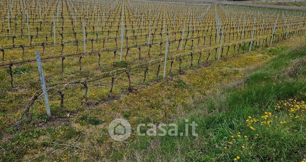 Terreno agricolo in Vendita in Via Pozzo dell'Amore 28 F a Cavaion Veronese