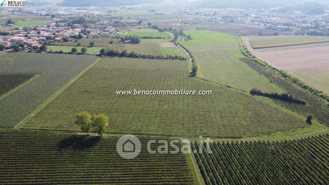 Terreno agricolo in Vendita in Località Gazzoli a Costermano sul Garda