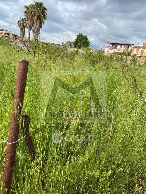 Terreno agricolo in Affitto in ARCO SANT'ANTONIO a Giugliano in Campania