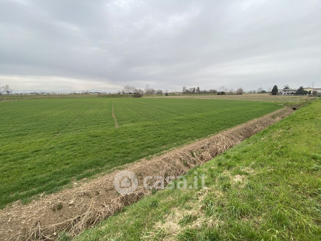 Terreno agricolo in Vendita in Via San Zeno a Veggiano
