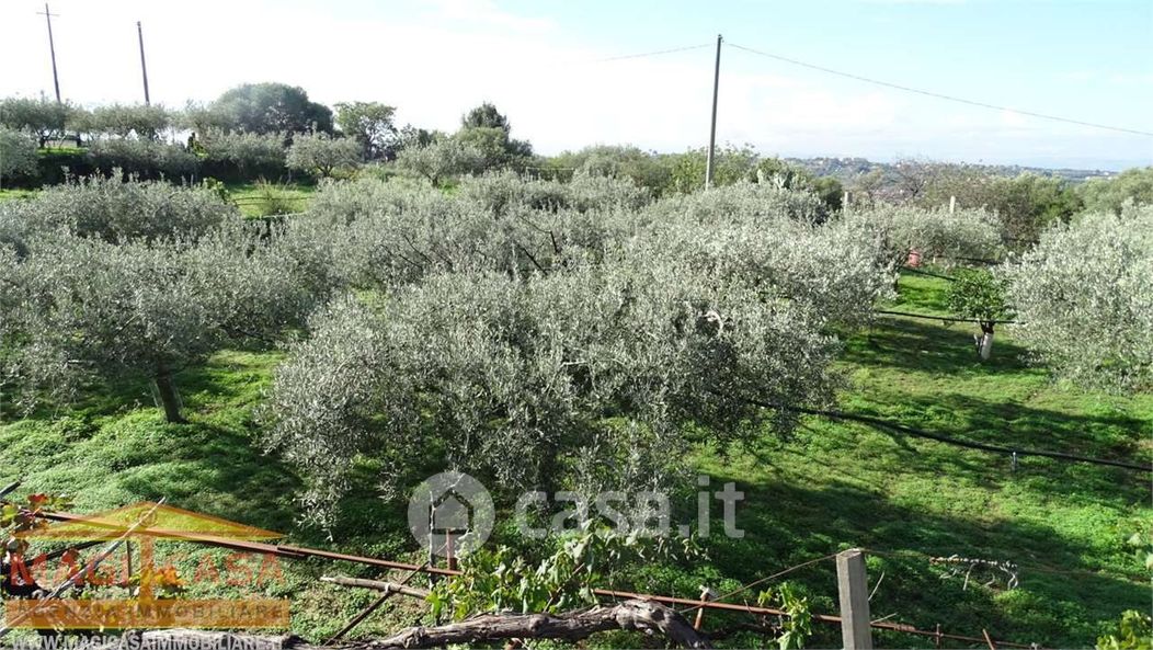 Terreno agricolo in Vendita in Via San Domenico a Camporotondo Etneo
