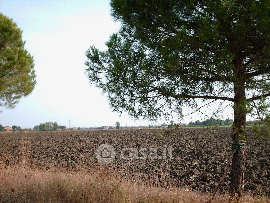 Terreno agricolo in Vendita in Via Wally 9 a Rimini