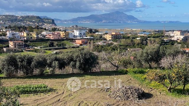 Terreno agricolo in Vendita in Via Scalandrone a Bacoli
