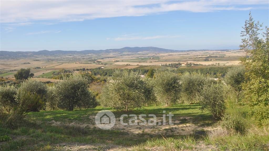 Terreno agricolo in Vendita in Via Livornese a Castellina Marittima