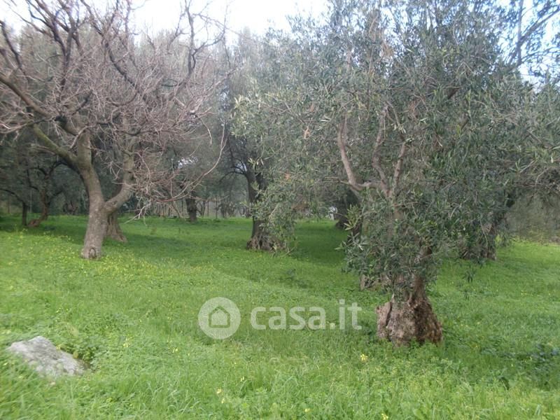 Terreno agricolo in Vendita in Via Francesco Cangialosi a Carini