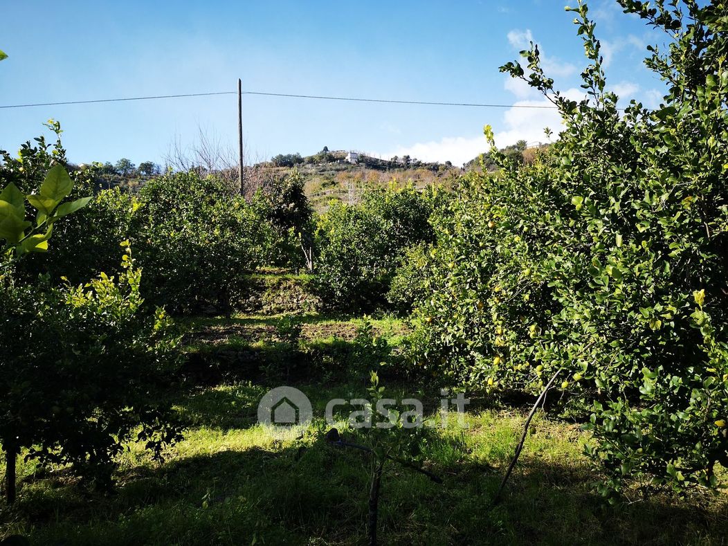 Terreno agricolo in Vendita in Via Pedata Sant'Agata a Mascali