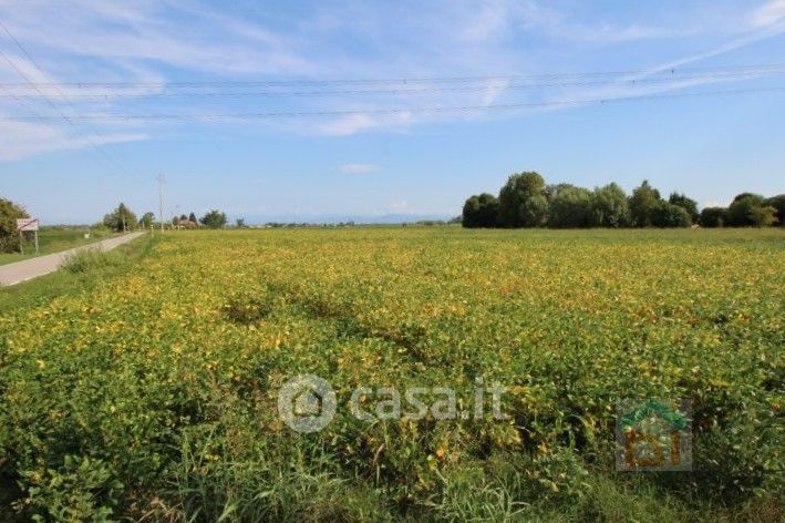 Terreno agricolo in Vendita in Via Torat a Cervignano del Friuli