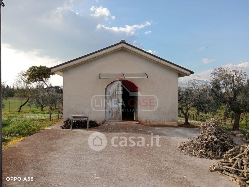 Terreno agricolo in Vendita in Via Prato Ciccone a Gallicano nel Lazio