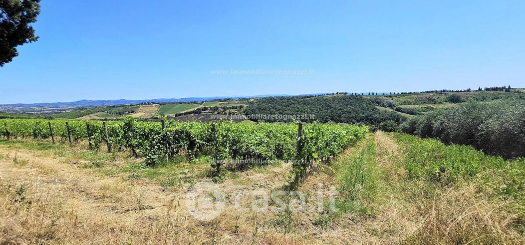 Terreno agricolo in Vendita in a San Gimignano