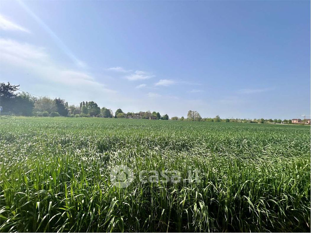 Terreno agricolo in Vendita in Via Euro Lugli a Novi di Modena