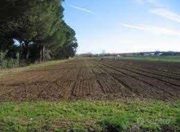 Terreno agricolo in Vendita in Via di Levane Alta a Montevarchi