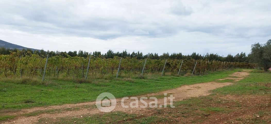 Terreno agricolo in Vendita in Via sila a Alghero