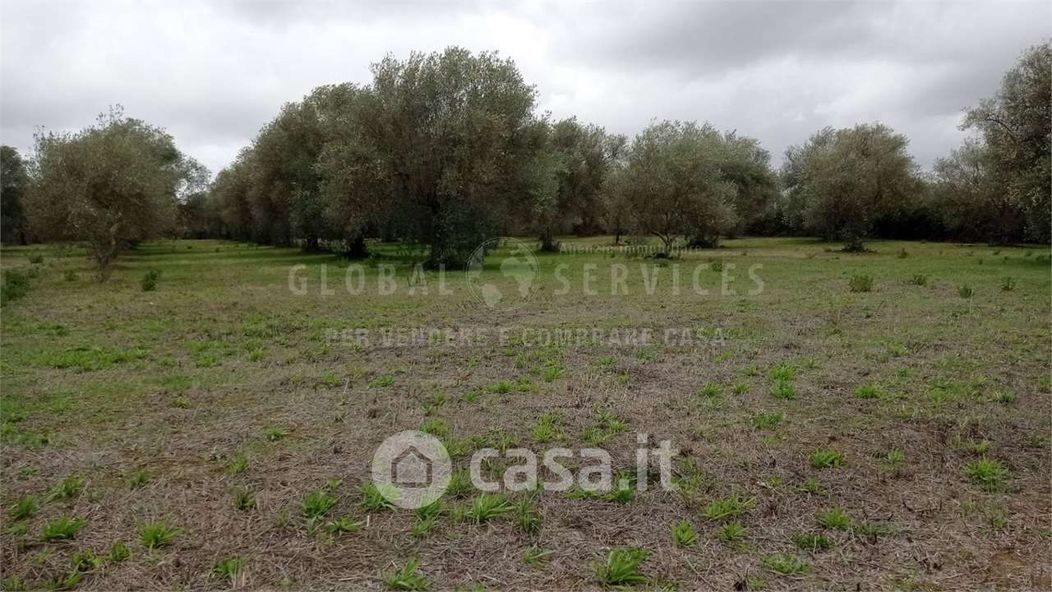 Terreno agricolo in Vendita in Strada Vicinale Ungias a Alghero