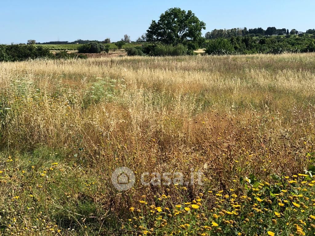 Terreno agricolo in Vendita in Contrada Scalella a Brindisi
